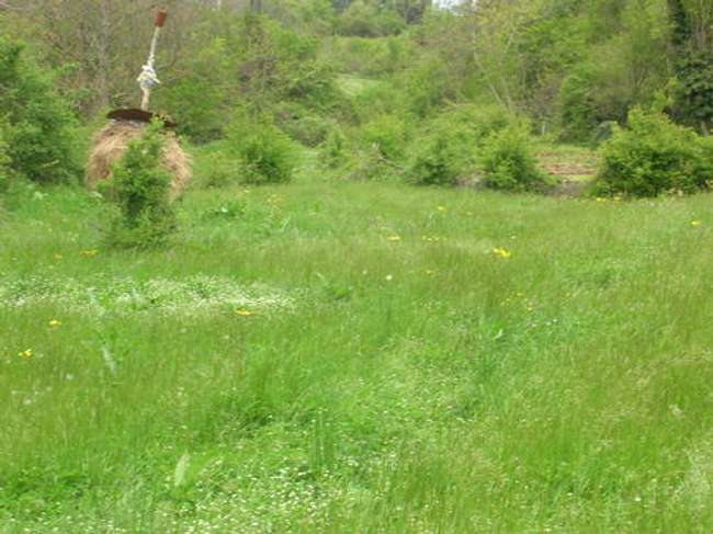 Плац за продажба во Св Стефан - 2