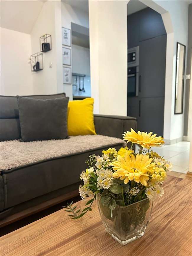 Duplex Apartment in Debar Maalo - 2