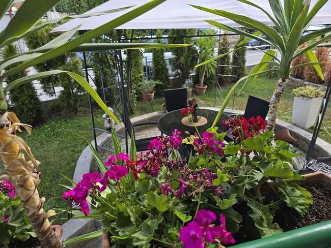 Apartament në Kozle - 2