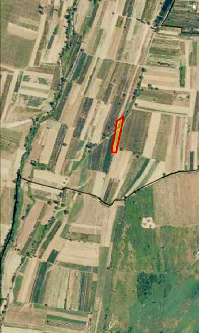 Нива во Лакочереј - 2