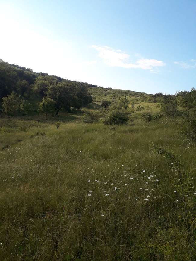 Tokë në Krushevë 23.784 m2 - 2