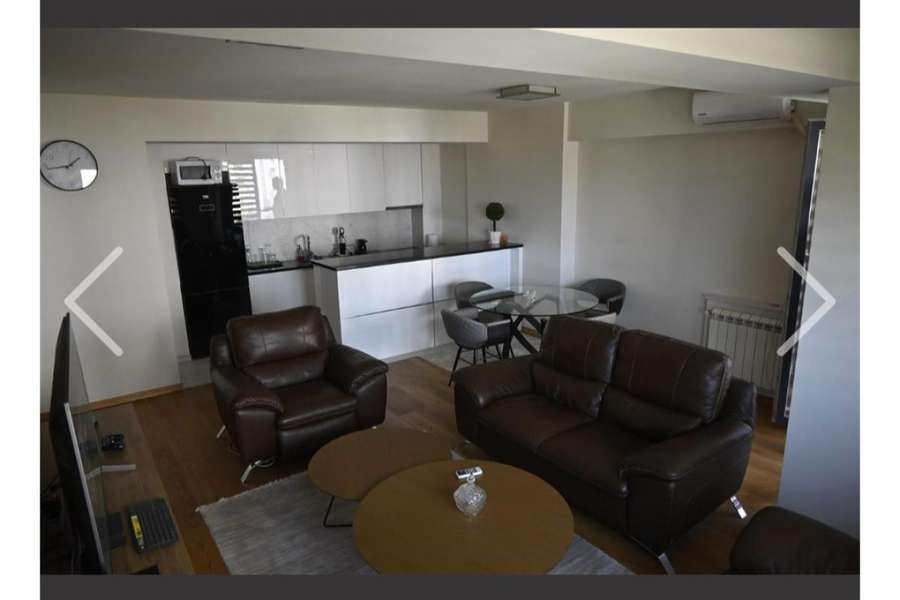 Luxuriously Furnished Apartment - 1