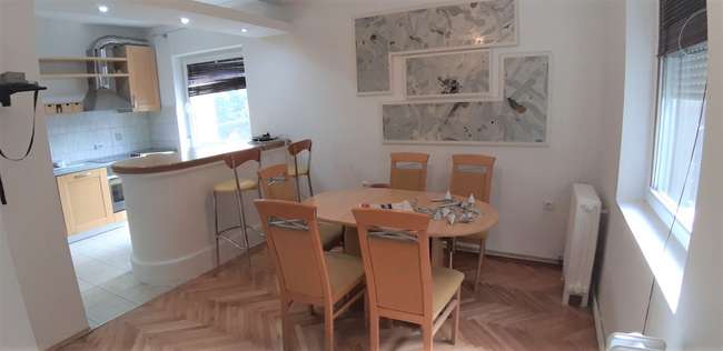 Apartment for rent on the ground floor in Trnodol - 3