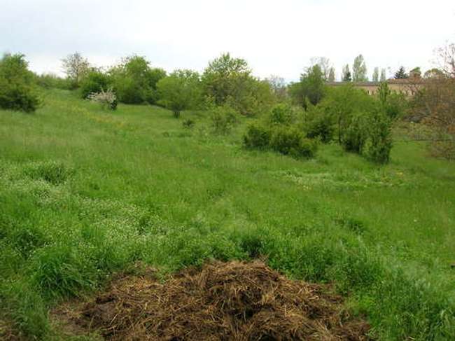 Плац за продажба во Св Стефан - 3