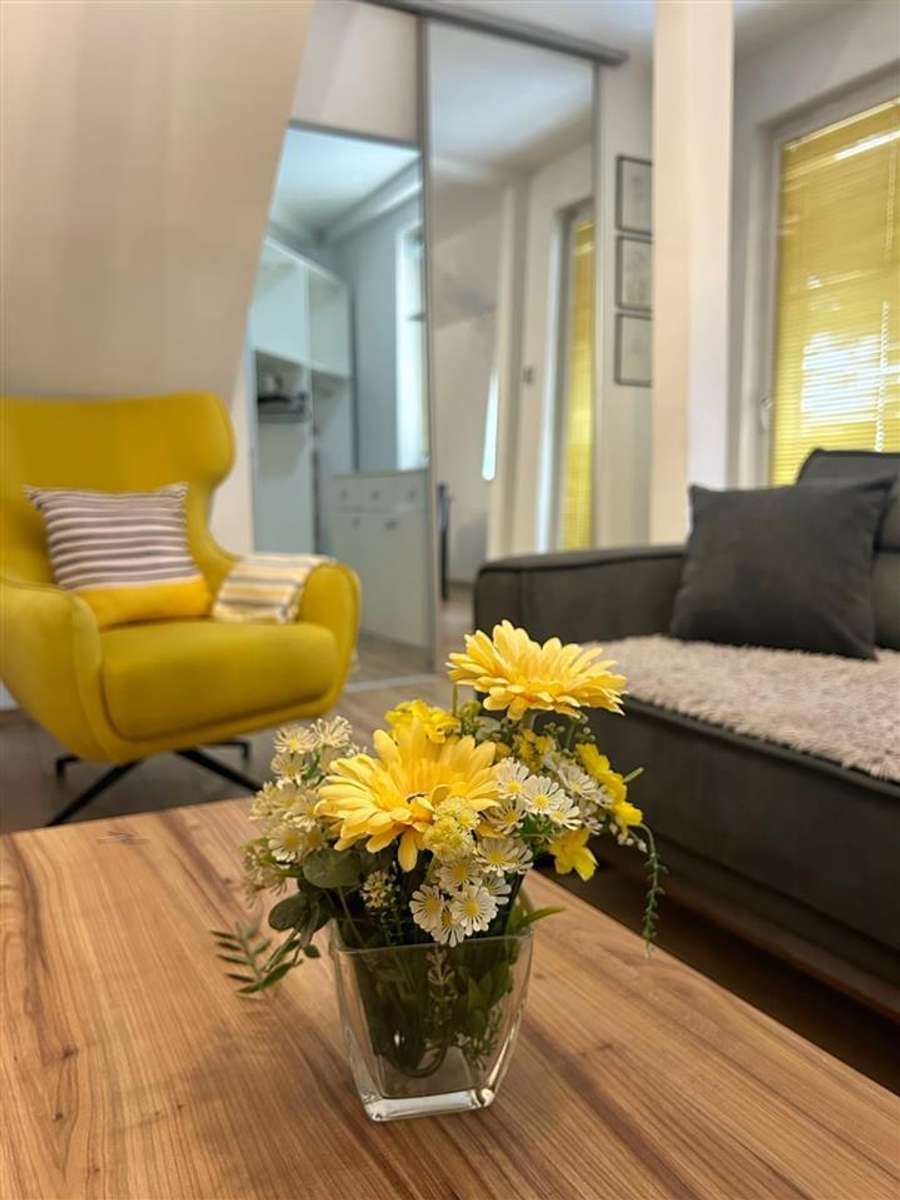 Duplex Apartment in Debar Maalo - 1