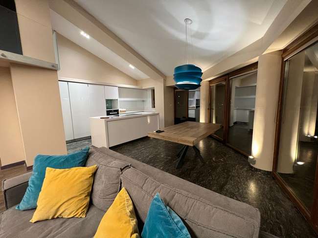 Penthouse me pamje nga Vodno - 2