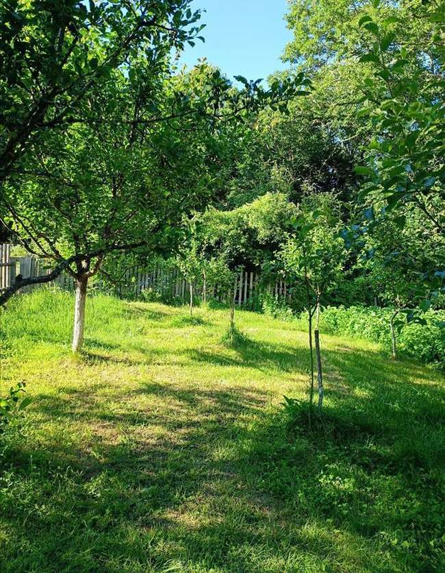 Top offer for a house in Berovo - 2