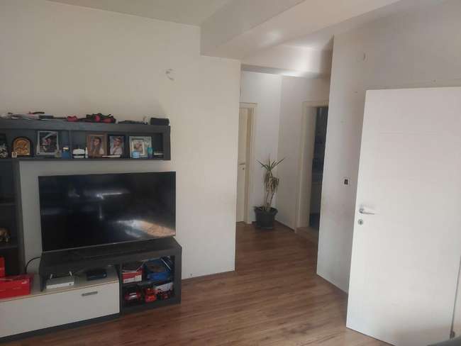 Renovated 2-Bedroom Apartment - 2