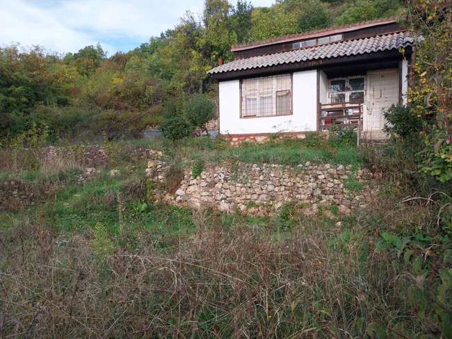 Parcelë me Shtëpizë mbi fshatin Peştan - 3