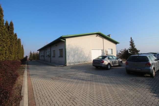 Offices + warehouse space in Pintija - 2