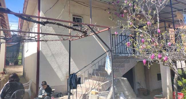 DY SHTEPI NË OBORIN E LINDJES - 2