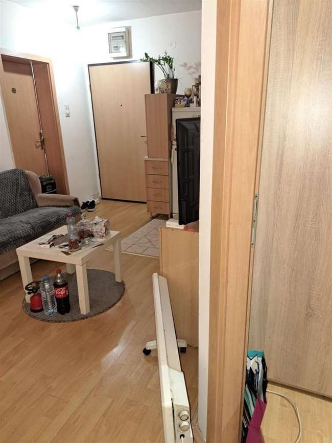 Apartment in Kisela Voda - 2
